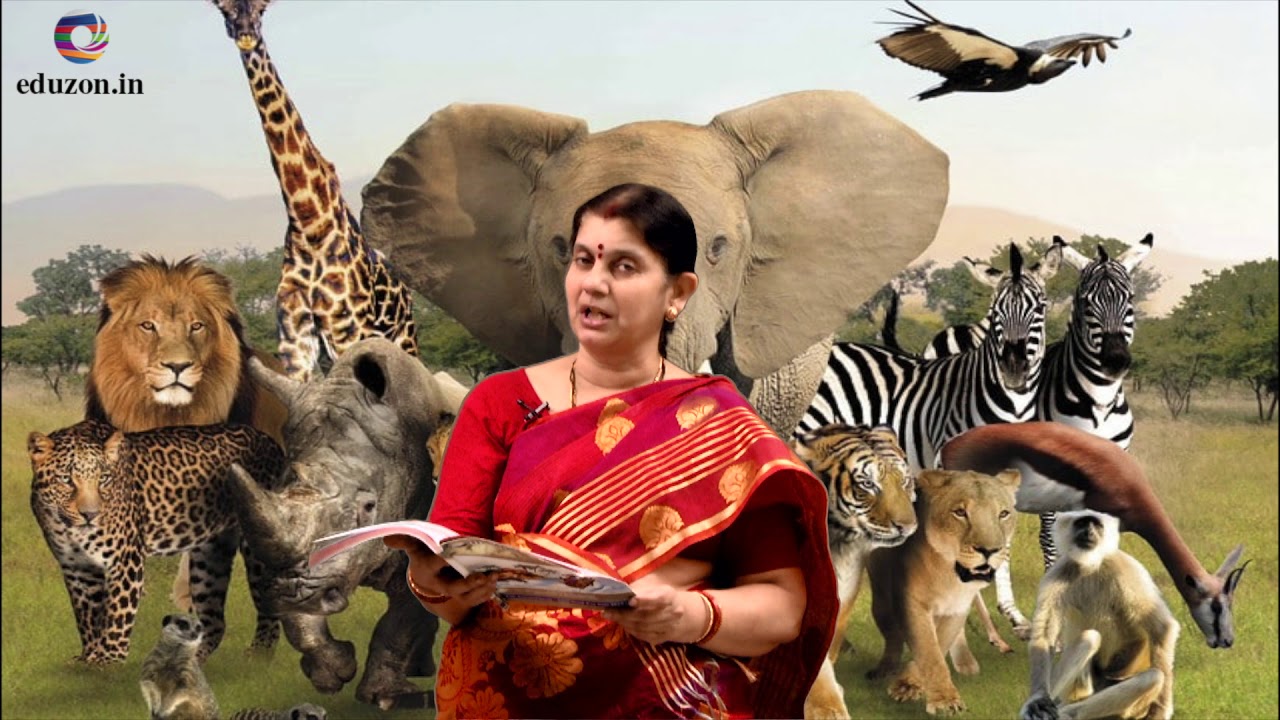 Peace And Harmony Lesson Summary