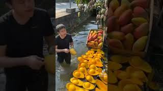 مزارع المانجو في الصين متقدمين علينا في كل شي حتى الفواكة mango 🥭