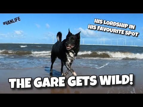 The Gare gets WILD! | Crashing Waves at the Gare | Charlie's Loving the Gare | Part 2 #vanlife