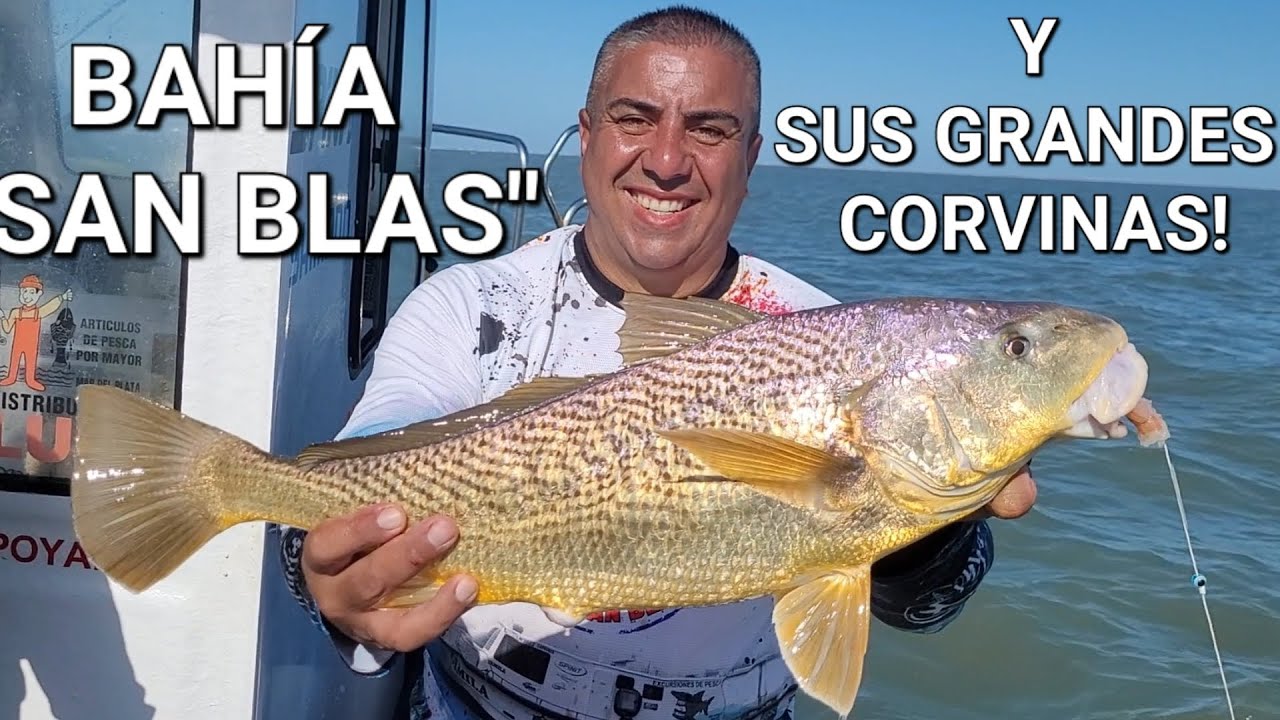 PESCA EN 