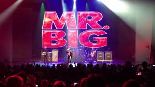 Daddy, Brother, Lover, Little Boy - Mr Big