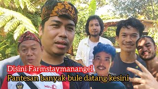 HERE WITH FARMSTAYMANANGEL IS A GREAT PLACE TO ENJOY NATURE // YOU CAN CHAT WITH FOREIGNERS