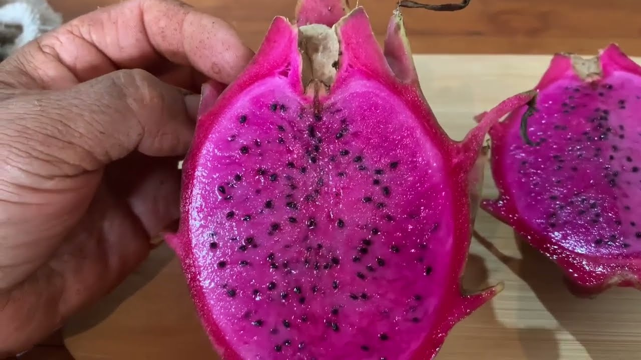 Pitaya Dark Star: Em Detalhes