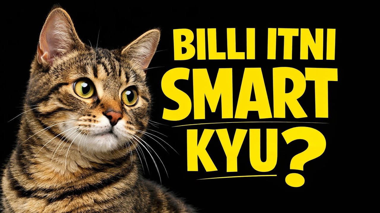 Cat Full Information | Billi Ki Puri Jankari | Amazing Cat Facts 🐱