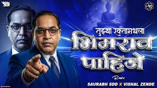 Tujhya Raktamadhla Bhimrao DJ SONG | Vishal Zende & Saurabh SDD | तुझ्या रक्तामधला भीमराव SOUNDCHECK