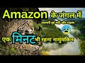 Amazon jungle in hindi  the boiling river  agyat duniya  amazon rainforest
