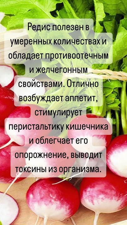 Польза редиски - YouTube
