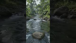 #riverside #river #nature #naturelovers #riversounds #natural #naturalbeauty #scenery #water