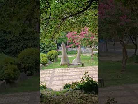 엄마꽃 김준수 트롯왕자 한일톱텐쇼 엄마 꽃 김준수노래 동물원 파란하늘