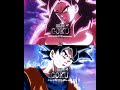 Xeno Goku Vs CC Goku