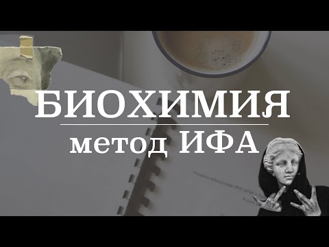 Видео: Как сделать иммунофлуоресценцию?