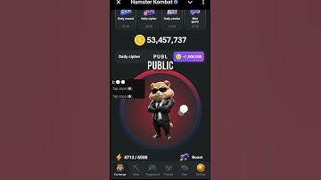 11 August Hamster Kombat Daily Cipher Today | Hamster Kombat Daily Cipher Code August 11 (Updated)