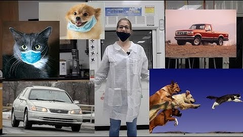 Fun with physics - Lab 2 - Momentum