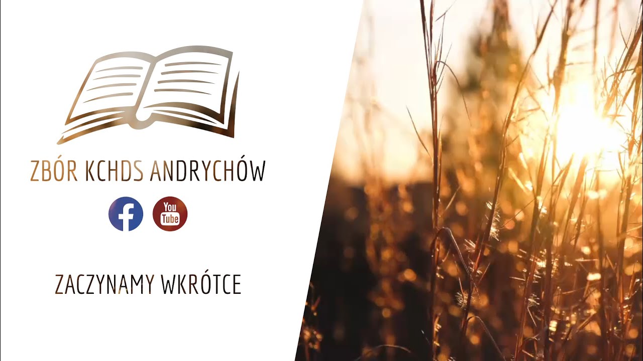 Dążcie do pokoju - Roman Witek