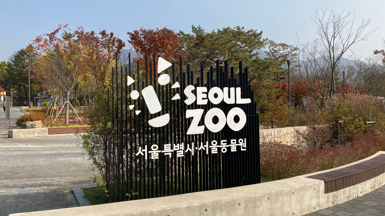 Seoul Grand Park Zoo Trail in Autumn