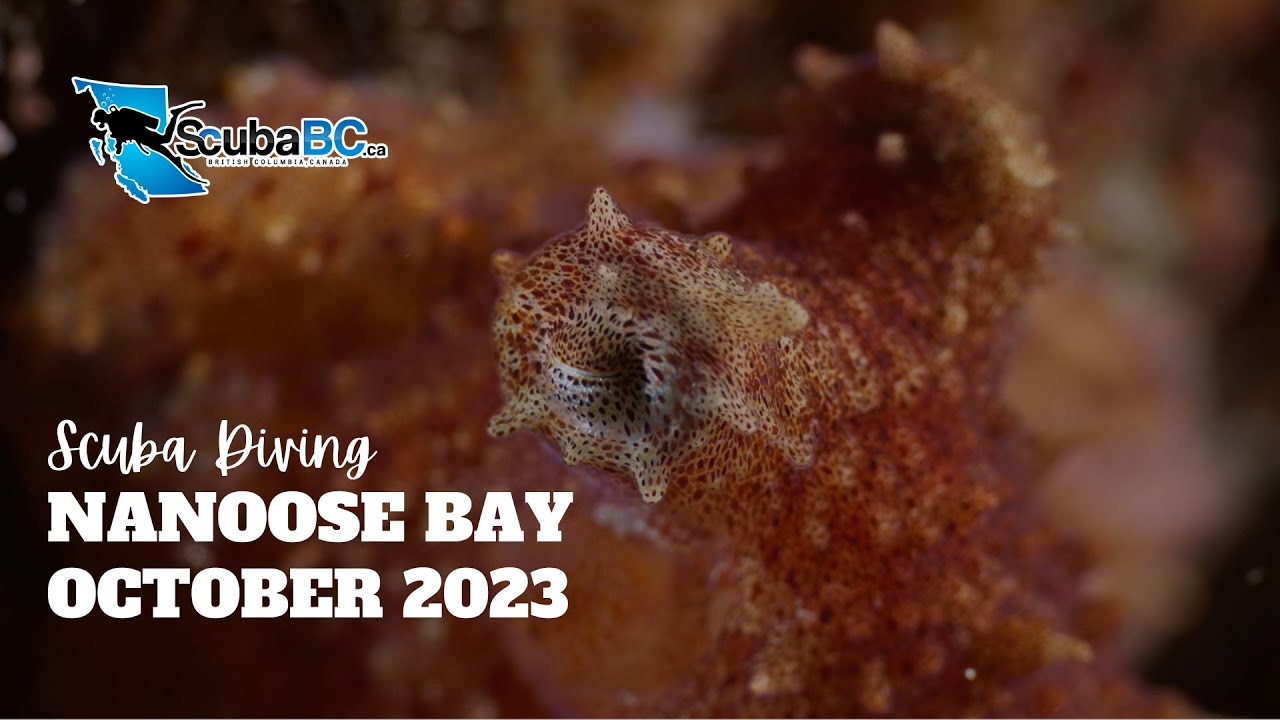 youtube-video-thumbnail