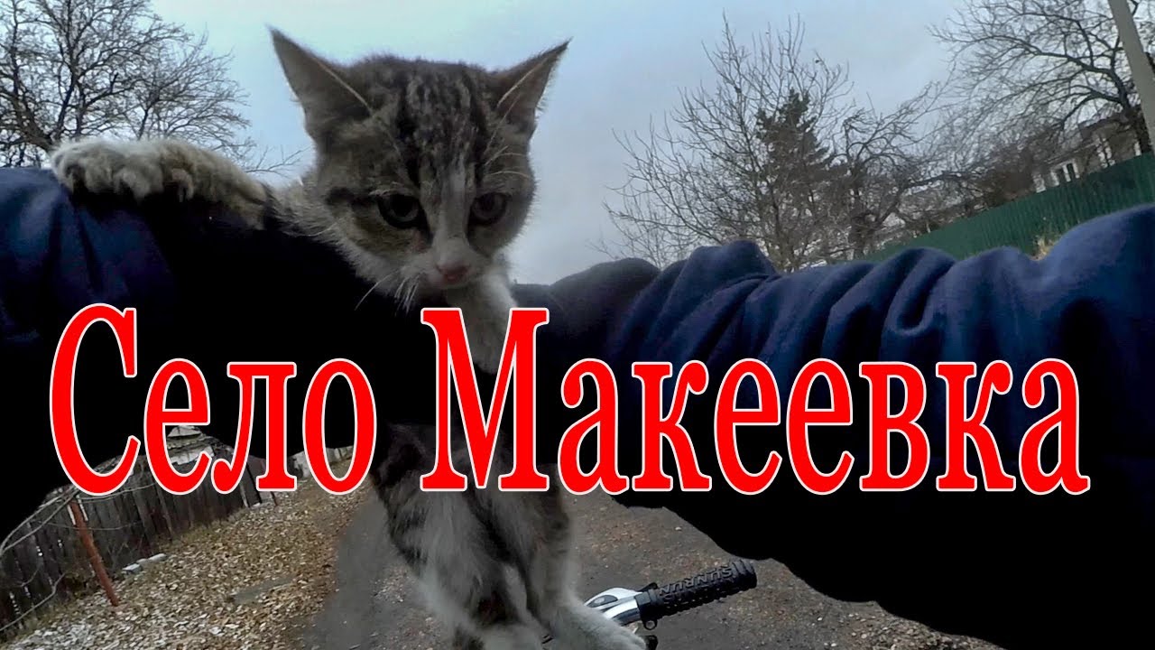 Село Макеевка