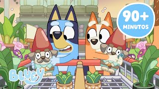ao Vivo Momentos Encantadores De Bluey Com A Famlia   Bluey Portugus Brasil Canal Oficial