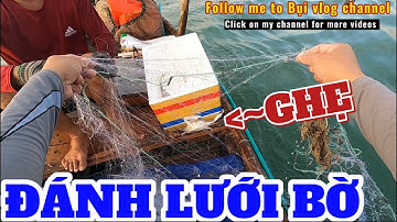Đánh lưới bờ: Sau Vác Lưới Kinh Dị Là có Cá Lên Ghe || Bụi Vlog