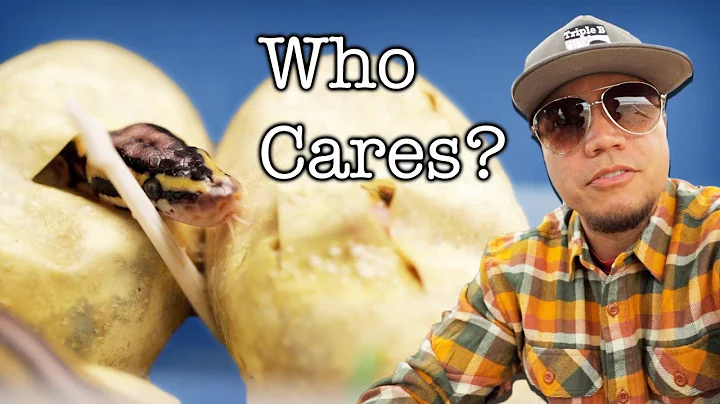 Is keeping snakes cruel?