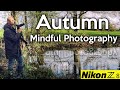 A mindful photography in Autumn with my Nikon Z8