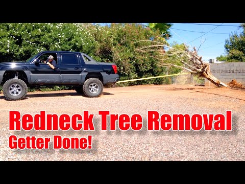 Redneck Tree Removal