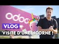 On visite les bureaux dune startup valorise  2 milliards   odoo 