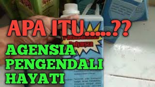 Agensia Pengendali Hayati Efektif Mengendalikan Hama Dan Penyakit Tanaman