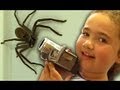 Big Spider Nerf Gun Dyson DC39 Vacuum Capture Kids React Slowmo Study
