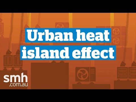 The Heat Island effect
