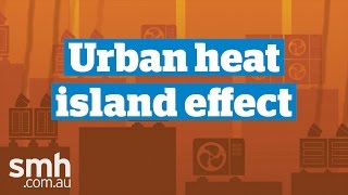 The urban heat island effect