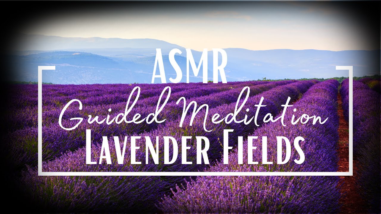ASMR Guided Meditation for Sleep and Relaxation: Lavender Fields - YouTube