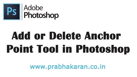 Add or Delete Anchor Point Tool in Photoshop | Photoshop Beginner Tutorials