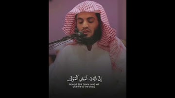 راحة نفسية بصوت القارئ رعد الكردي 🥺🤎 #قرآن #رعد_الكردي
