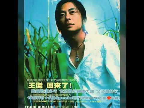 王傑-從來沒愛過