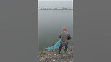 Chài Chép Hugo   #fishing #chaicachep #hunghugo