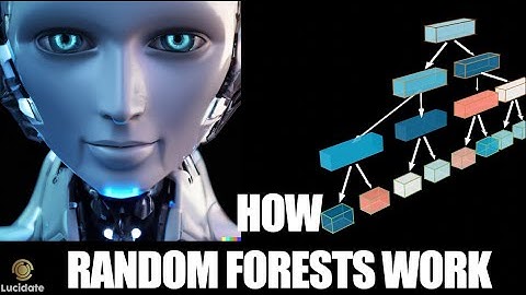 Random Forests: Why use them and How they Work in 2025