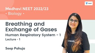 Breathing and Exchange of Gases | Human Respiratory System - 1 | L1 | NEET 2022/23 | Seep Pahuja