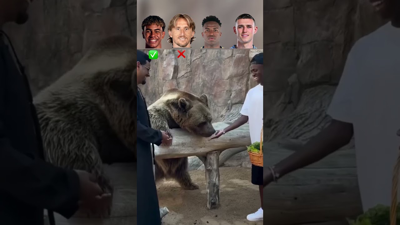 Lamine vs Modrić vs Vini Jr vs Foden | Zoo Challenge! 🐾⚽  