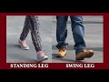How to walk properlystanding leg vs swing leg