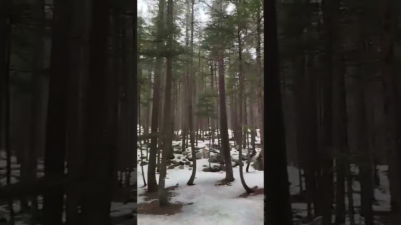 Snow fall at Ushu Forest, Kalam, Swat