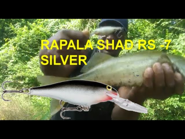 RAPALA SR 7 SILVER DEEP RUNNER 