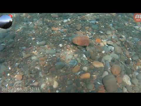 Plage de ouades à bejaia sous l eau شاطئ واداس