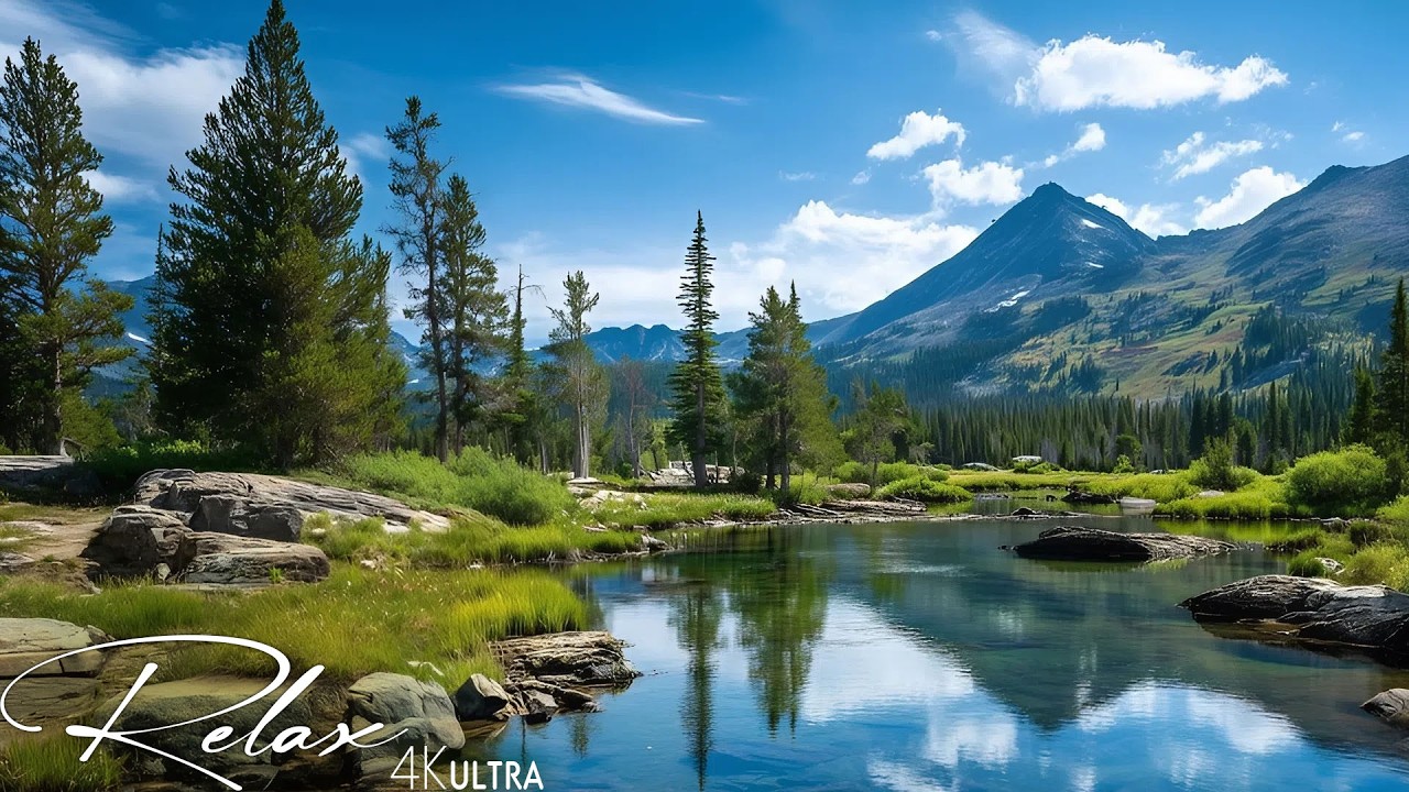 Healing Music for Inner Peace 🌿Peaceful Calming Music for Meditation & Stop Overthinking 🌝