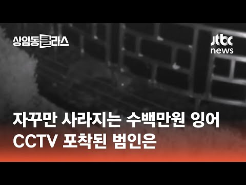 자꾸만 사라지는 수백만원 <strong>잉어</strong>…CCTV 포착된 범인은 #월드클라스 / JTBC 상암동 클라스