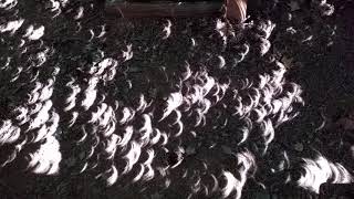 Dancing eclipse sunbeams/ shadows