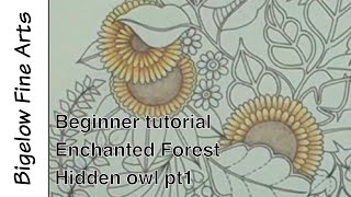 Beginner Tutorial Hidden Owl pt1 : Enchanted Forest color along with polychromos