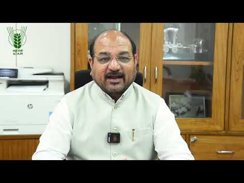Dr ML Jat | UN South–South Cooperation Webinar | 12 September 2025