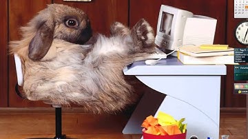 Оптимизация оперативной памяти