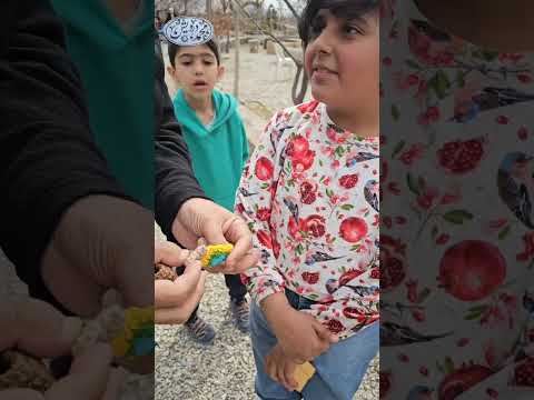 از سری بهانه های سرکردن زمستان در شاهرود
